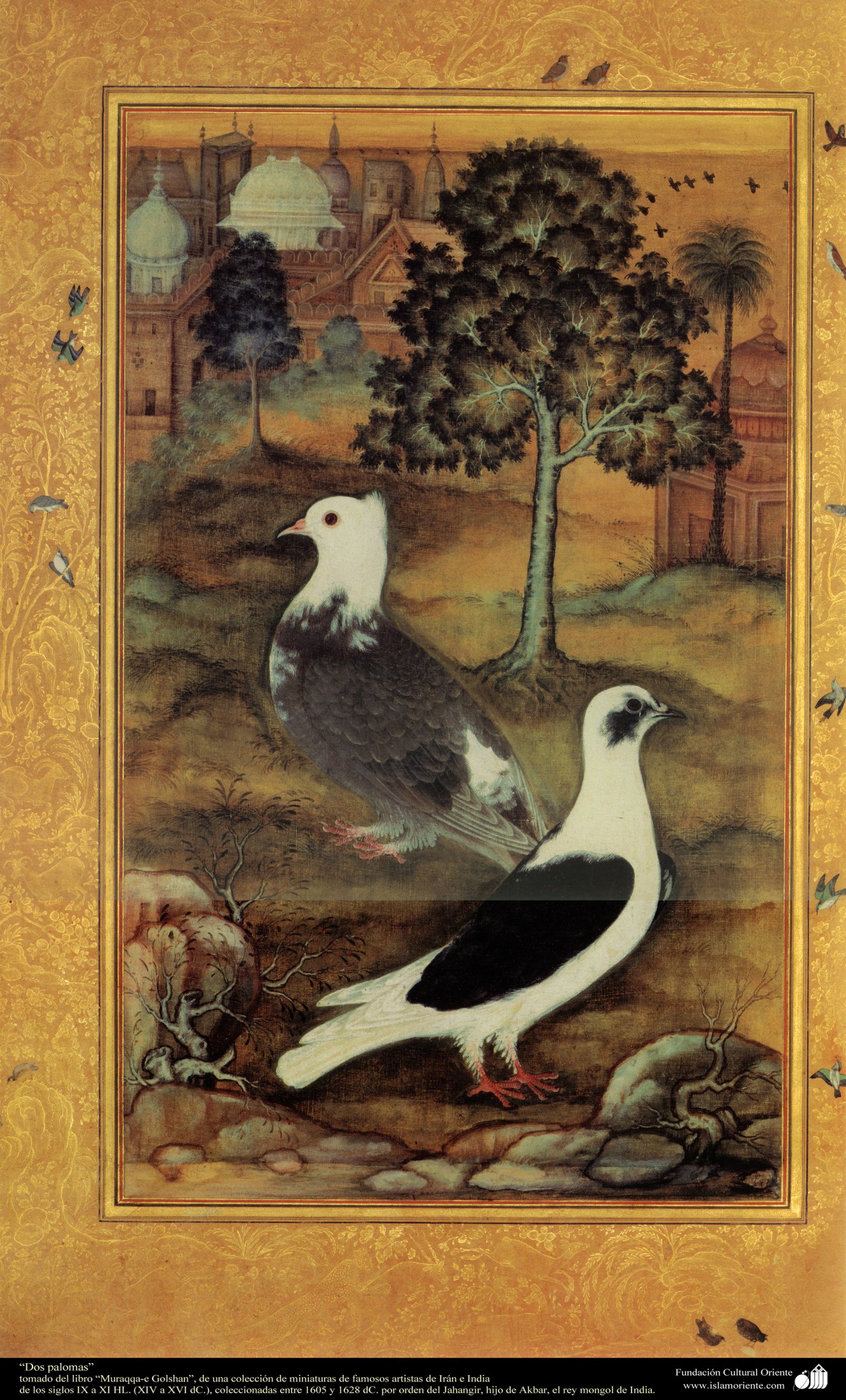 Dos Palomas” - Miniatura Del Libro “Muraqqa-e Golshan” - 1605 Y 1628 DC. 2