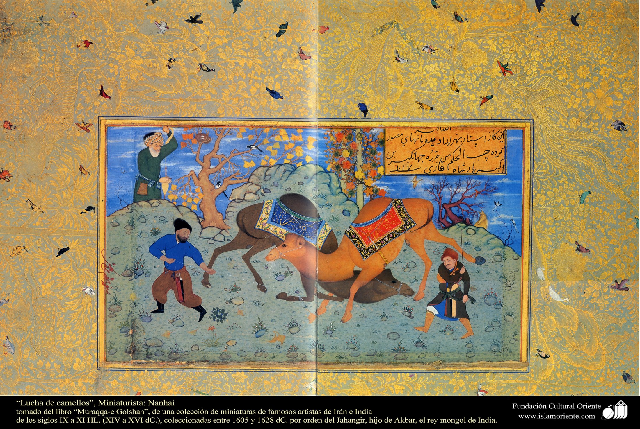 Lucha De Camellos”, Miniaturista Nanhai, Tomado Del Libro “Muraqqa-e Golshan” 2